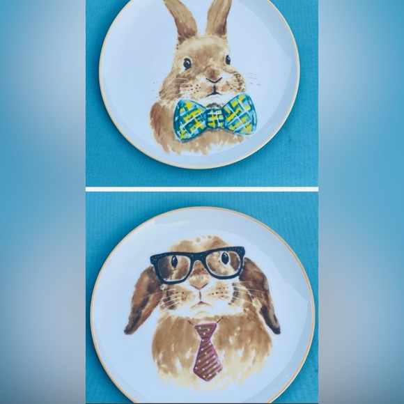 Pier 1 Accents Two Pier Easter Bunny Plates Porcelain 8 Poshmark